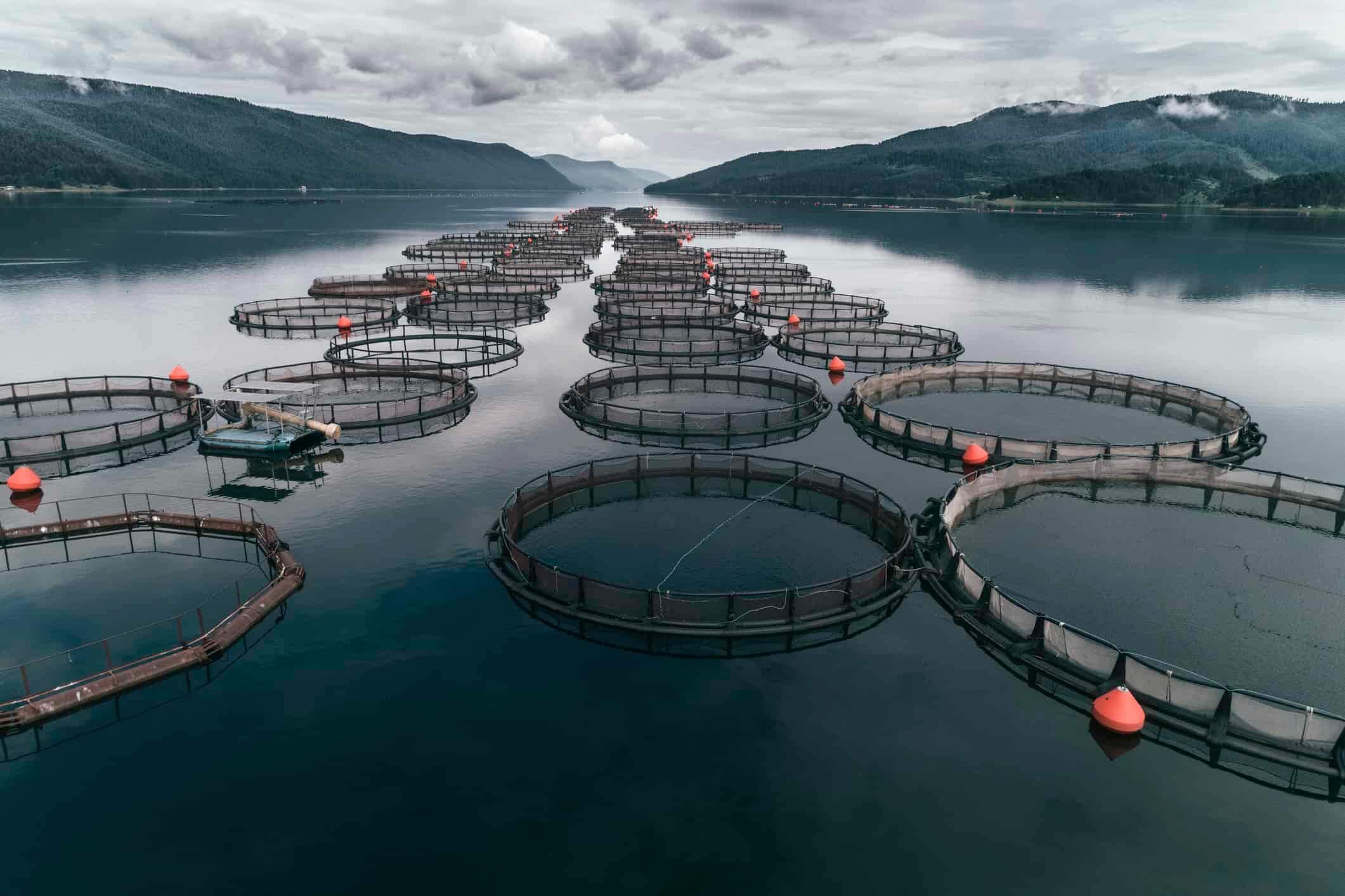 Aquaculture farm