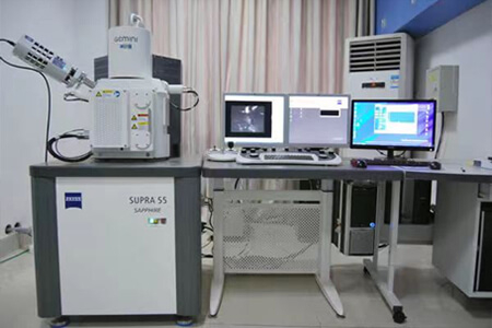 Scanning-electron-microscope